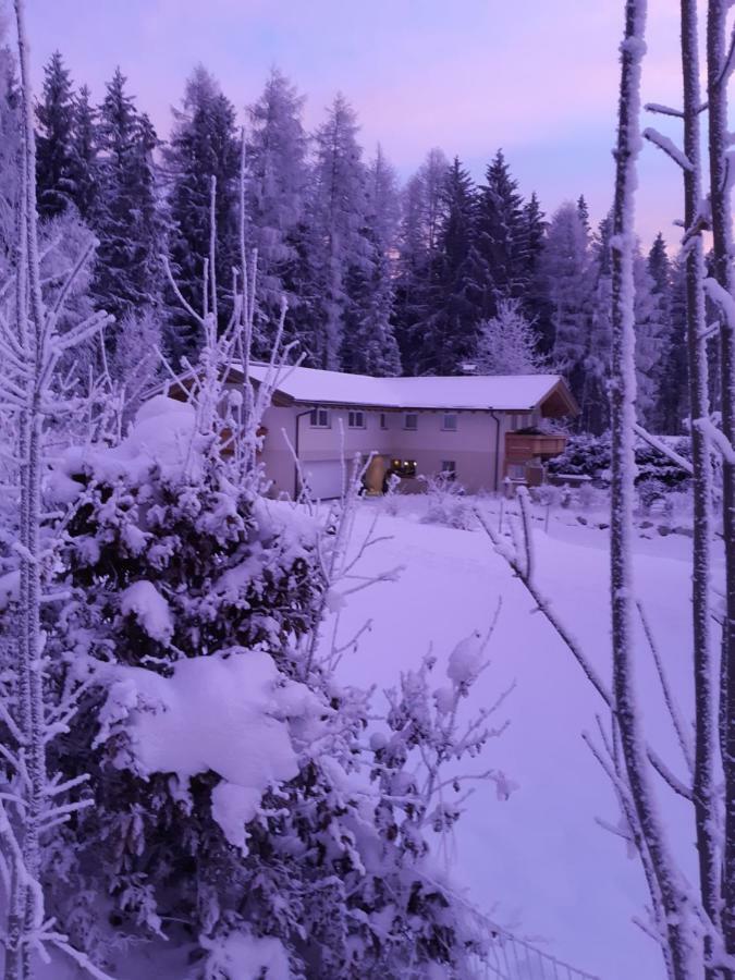 Apartment Haus Petra Leogang